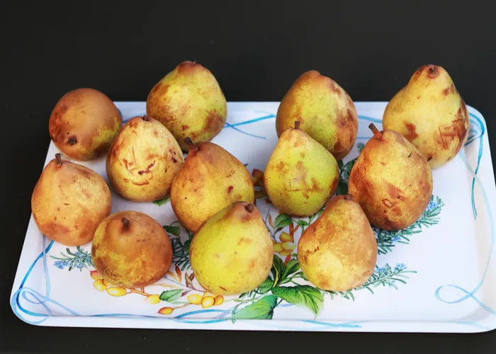 Ecological fingerprint